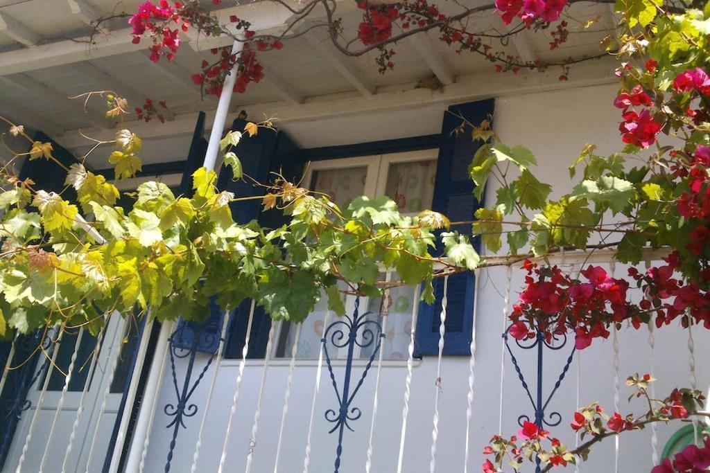 فيلا Viewtyhouse Atheato المظهر الخارجي الصورة